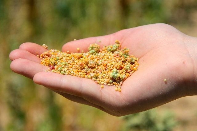 İşte zayıflamanın ve zayıf kalmanın en kolay yolu! 21