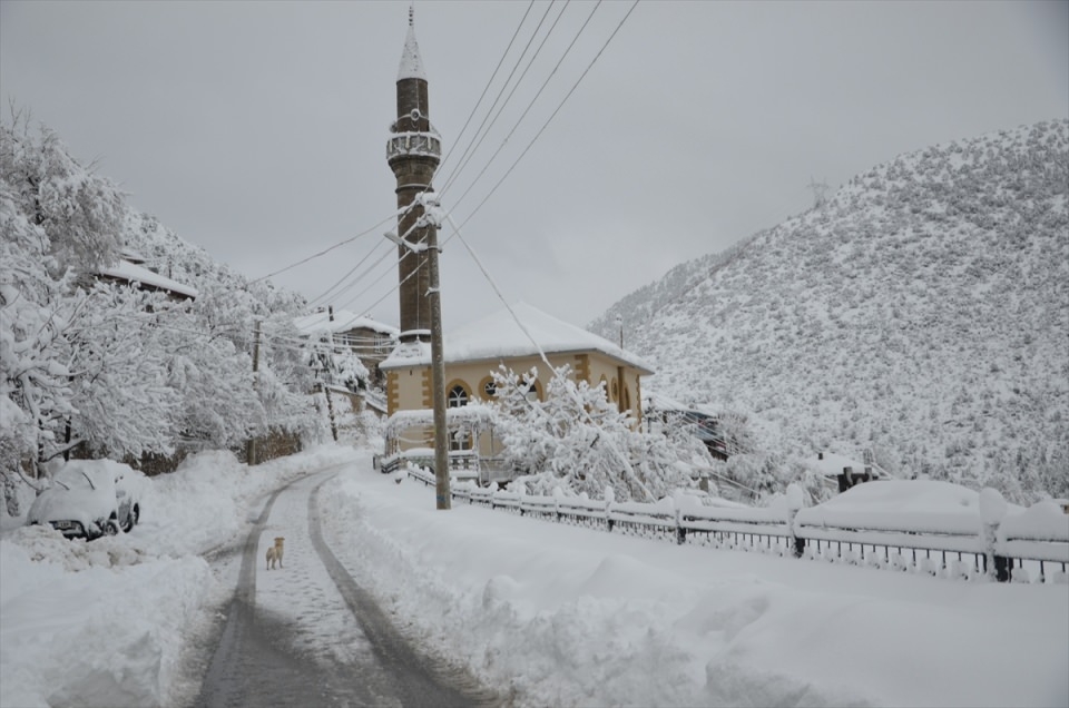 Türkiye'den kar manzaraları 69