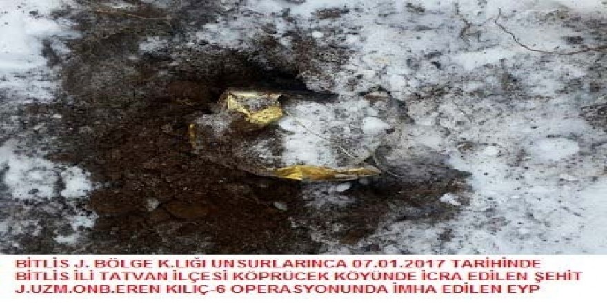 Bitlis'te terör operasyonu