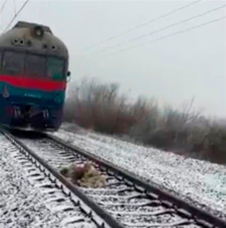 Hayvanlar insan gibi davranırsa 13