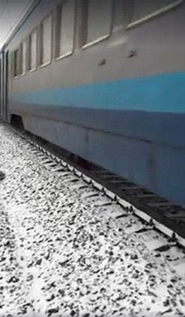 Hayvanlar insan gibi davranırsa 14