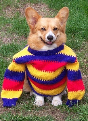 Hayvanlar insan gibi davranırsa 56