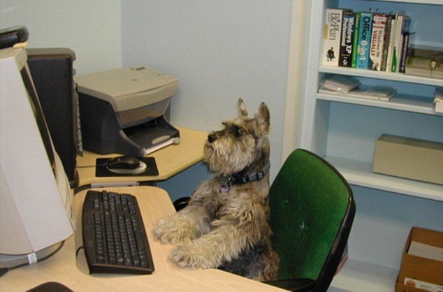 Hayvanlar insan gibi davranırsa 57