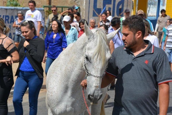 Hayvanlar insan gibi davranırsa 7