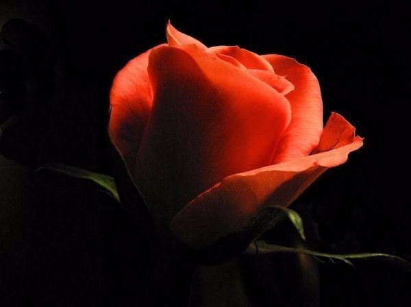 Mutluluğun sırrı Kur'an-ı Kerim'deki ayetlerde gizli 22