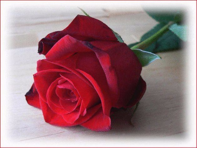 Mutluluğun sırrı Kur'an-ı Kerim'deki ayetlerde gizli 23