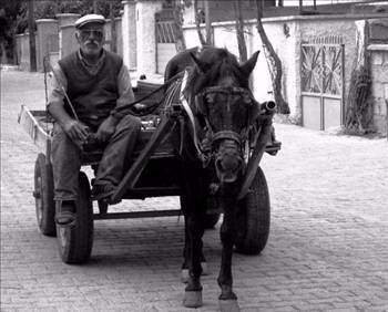 Daha önce hiç görmediğiniz Türkiye fotoğrafları! 106