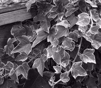 Daha önce hiç görmediğiniz Türkiye fotoğrafları! 131