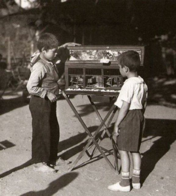 Daha önce hiç görmediğiniz Türkiye fotoğrafları! 188