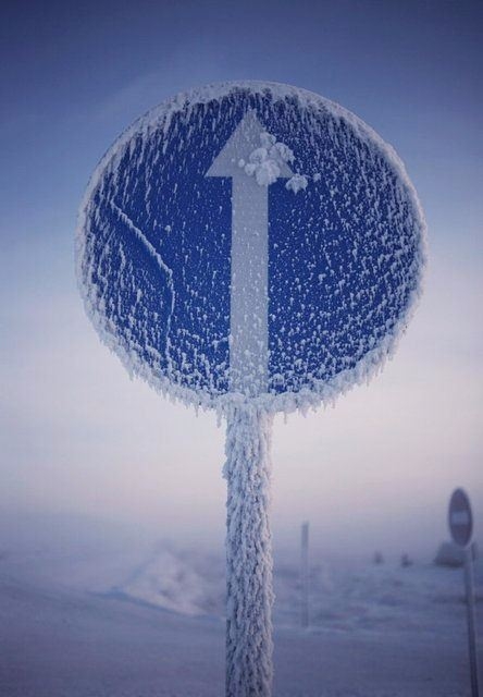 Eksi 71 derecedeki hayatlar 11