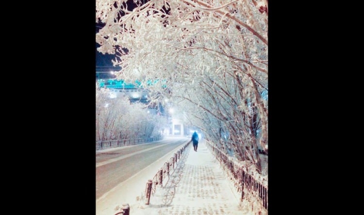 Eksi 71 derecedeki hayatlar 56