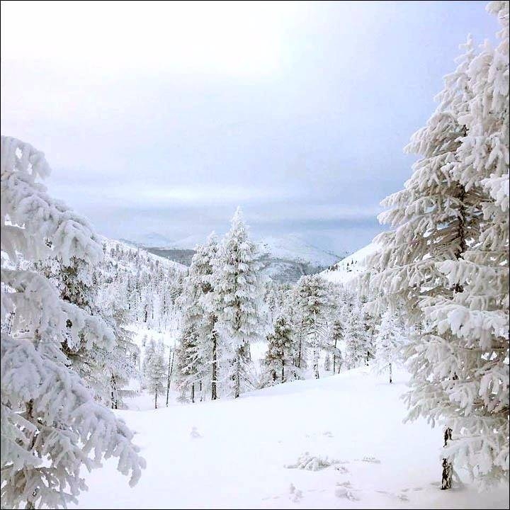 Eksi 71 derecedeki hayatlar 59