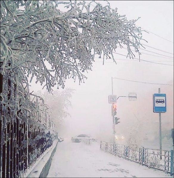 Eksi 71 derecedeki hayatlar 60