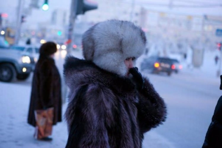 Eksi 71 derecedeki hayatlar 70