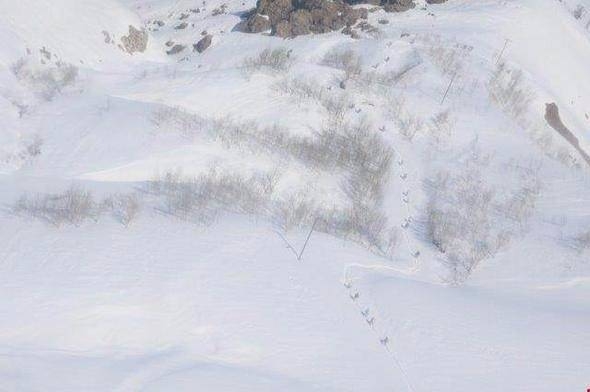 7 bin kişilik dev operasyon sona erdi! 48