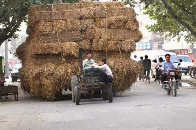 Güvenlik onların hayatında son sırada 3