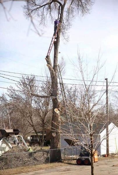 Güvenlik onların hayatında son sırada 32