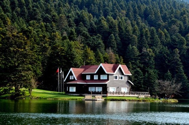 Türkiye'nin en çok göç alan illeri belli oldu 41