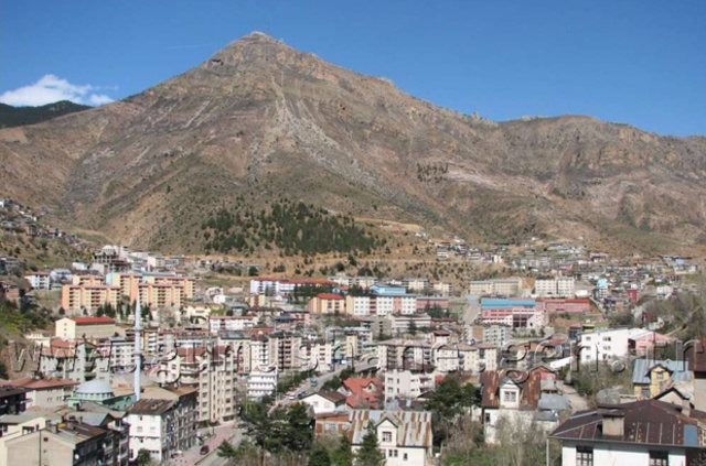 Türkiye'nin en çok göç alan illeri belli oldu 44