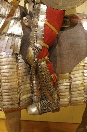 Dünyadan ilginç fotoğraflar 34