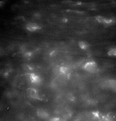 'İmkansız'ı başardılar! İlk fotoğraflar geldi 9