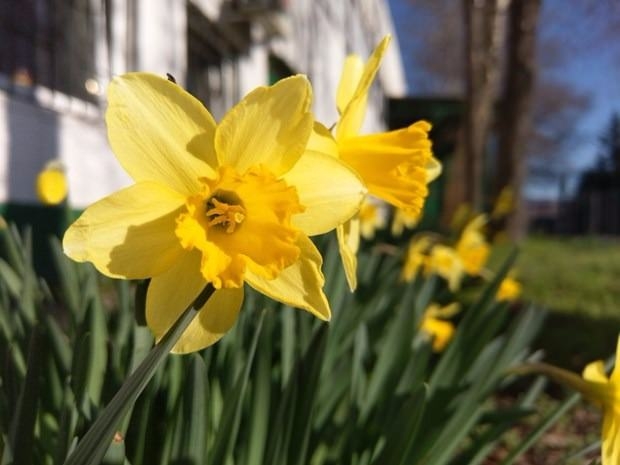 Bu da cep telefonu müzesi 19