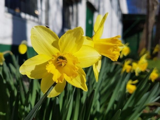 Bu da cep telefonu müzesi 20