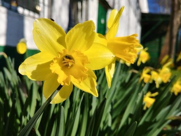 Bu da cep telefonu müzesi 21