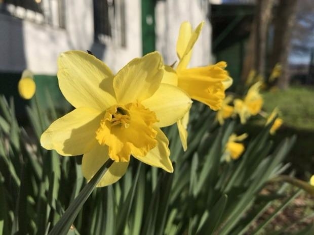 Bu da cep telefonu müzesi 22