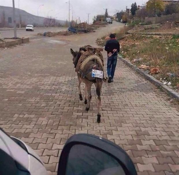 Yurdum insanından ilginç anlar 17