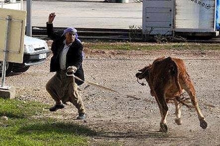 Yurdum insanından ilginç anlar 33