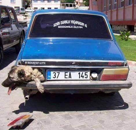 Yurdum insanından ilginç anlar 40