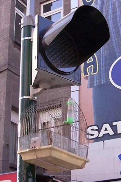 Yurdum insanından ilginç anlar 53