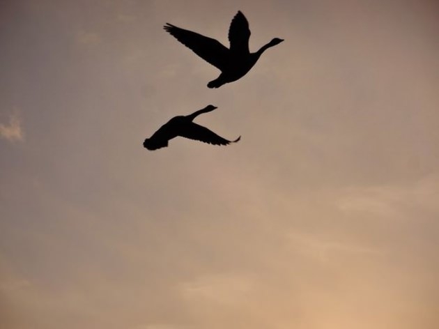 İşte 2017'nin en iyi seyahat fotoğrafları 22