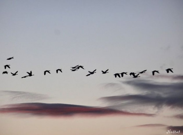 İşte 2017'nin en iyi seyahat fotoğrafları 27