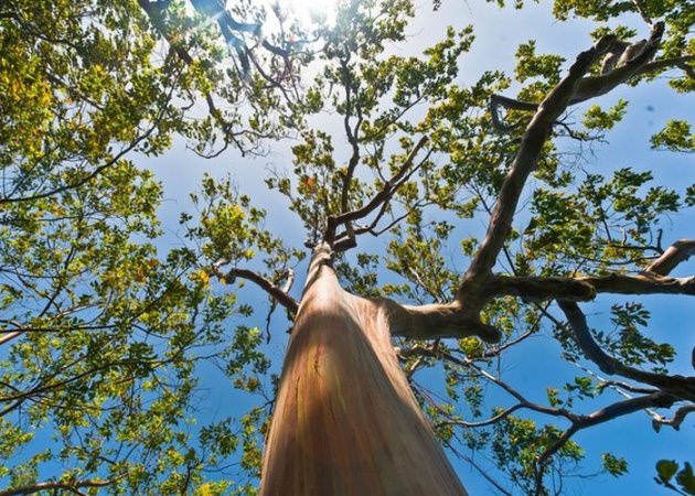 İşte 2017'nin en iyi seyahat fotoğrafları 39