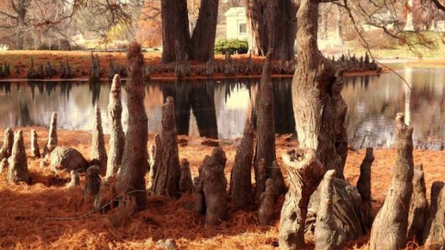 İşte 2017'nin en iyi seyahat fotoğrafları 40