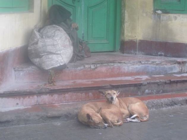 İşte 2017'nin en iyi seyahat fotoğrafları 43