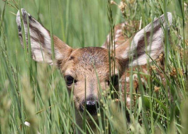 İşte 2017'nin en iyi seyahat fotoğrafları 45