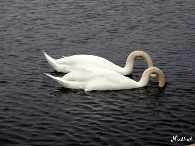 İşte 2017'nin en iyi seyahat fotoğrafları 52