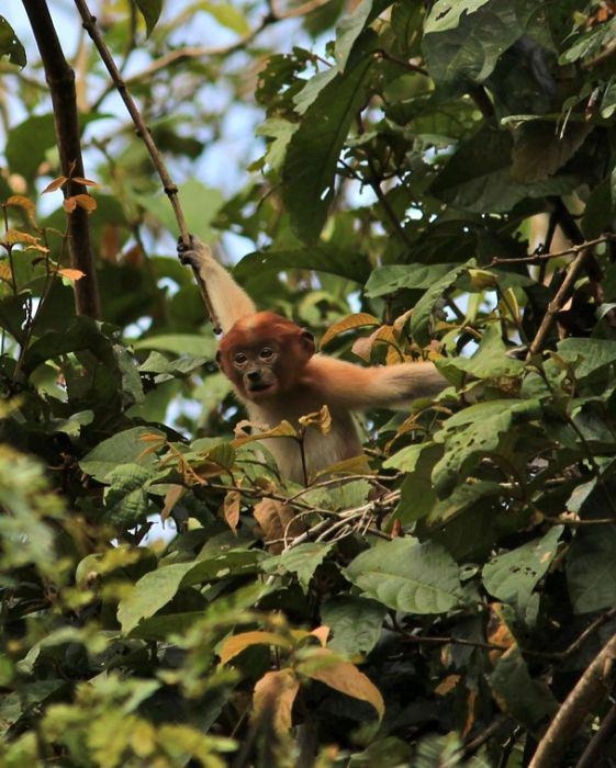 İşte 2017'nin en iyi seyahat fotoğrafları 55