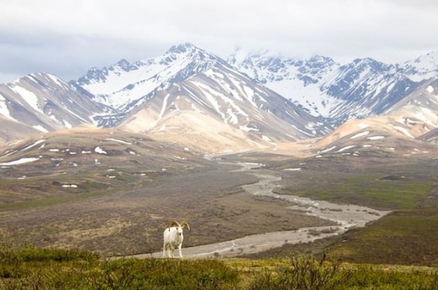 İşte 2017'nin en iyi seyahat fotoğrafları 57