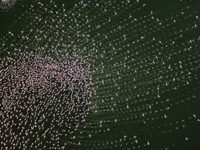 İşte 2017'nin en iyi seyahat fotoğrafları 87