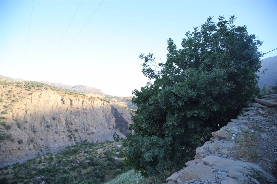 Şırnak'ta düşen askeri helikopterin enkazı 19