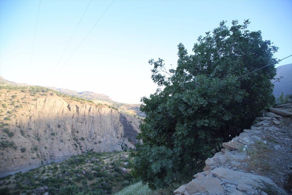 Şırnak'ta düşen askeri helikopterin enkazı 7