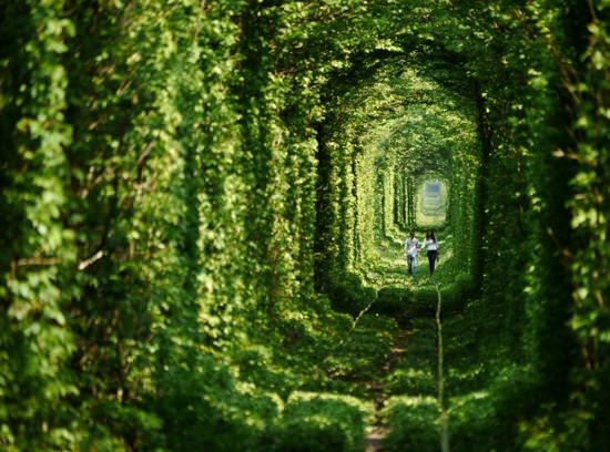 Dünyanın en güzel yolları 65