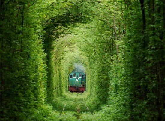 Dünyanın en güzel yolları 66