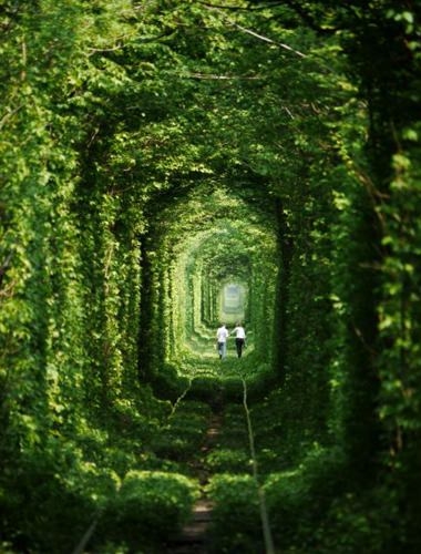 Dünyanın en güzel yolları 68