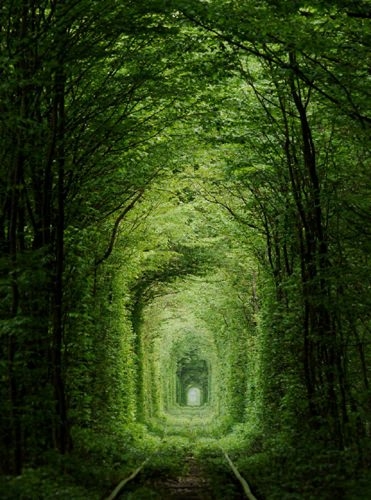 Dünyanın en güzel yolları 71