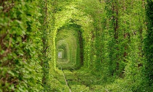 Dünyanın en güzel yolları 73